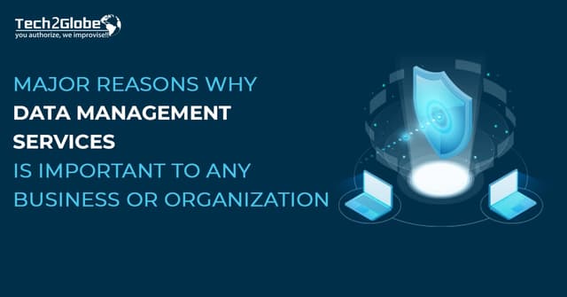 MAJOR REASONS WHY DATA MANAGEMENT SERVICES ARE IMPORTANT TO ANY BUSINESS OR ORGANIZATION