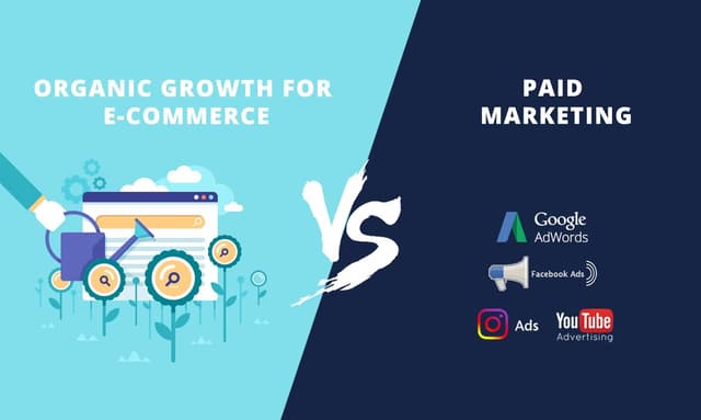 Paid Advertising vs. Organic: Where Should You Be Spending Your Time (And Money)?