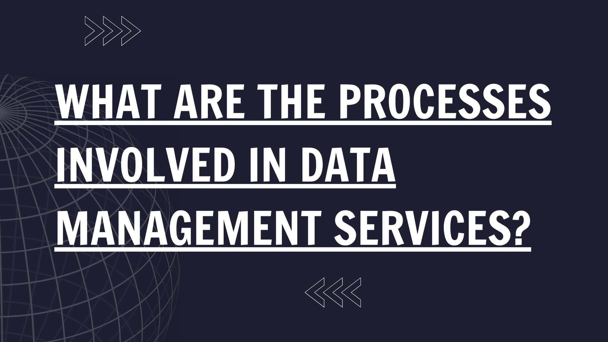 What are the processes involved in data management services?