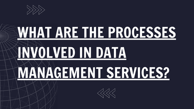 What are the processes involved in data management services?