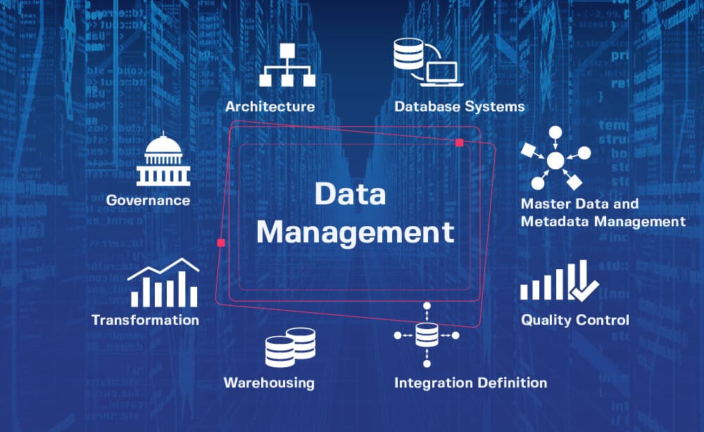 3 Must-Have Data Management Solutions That Will Ensure Your Company's Success