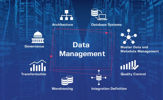 3 Must-Have Data Management Solutions That Will Ensure Your Company's Success