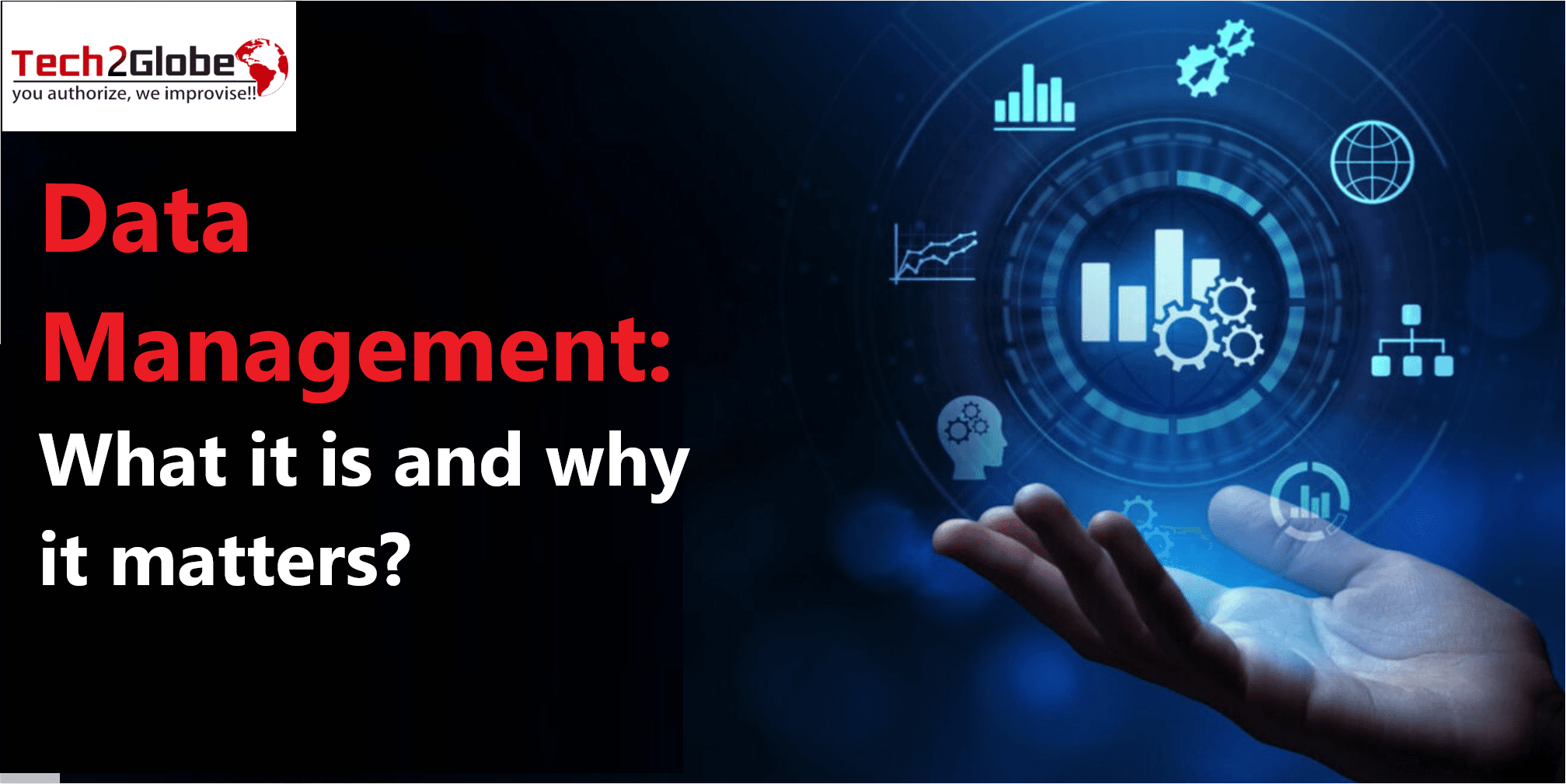 Data Management - Everything You Need To Learn About It