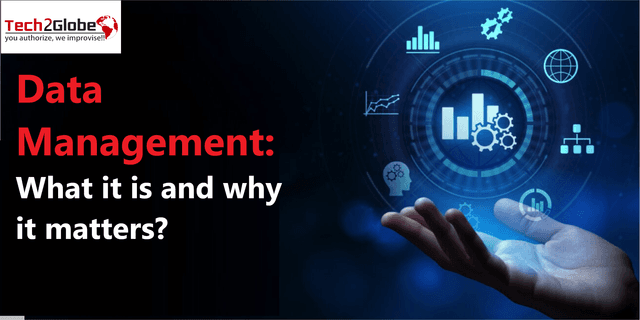 Data Management - Everything You Need To Learn About It