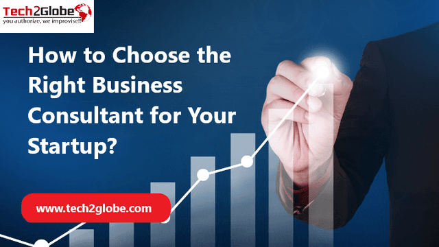 How to Choose the Right Consultant for Your Startup Business?