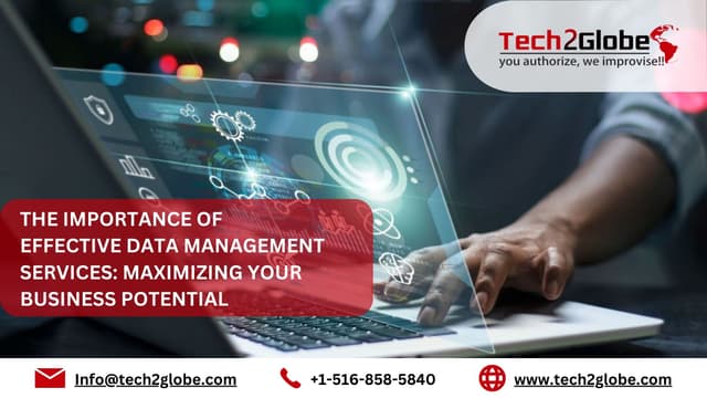 The Importance of Effective Data Management Services: Maximizing Your Business Potential