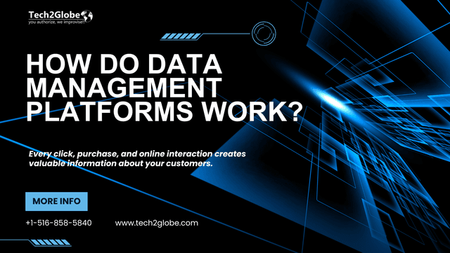 How do Data Management Platforms work?