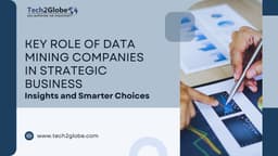 role-of-data-mining-companies-in-business-insights