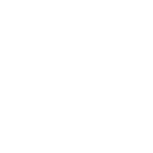 Human Values